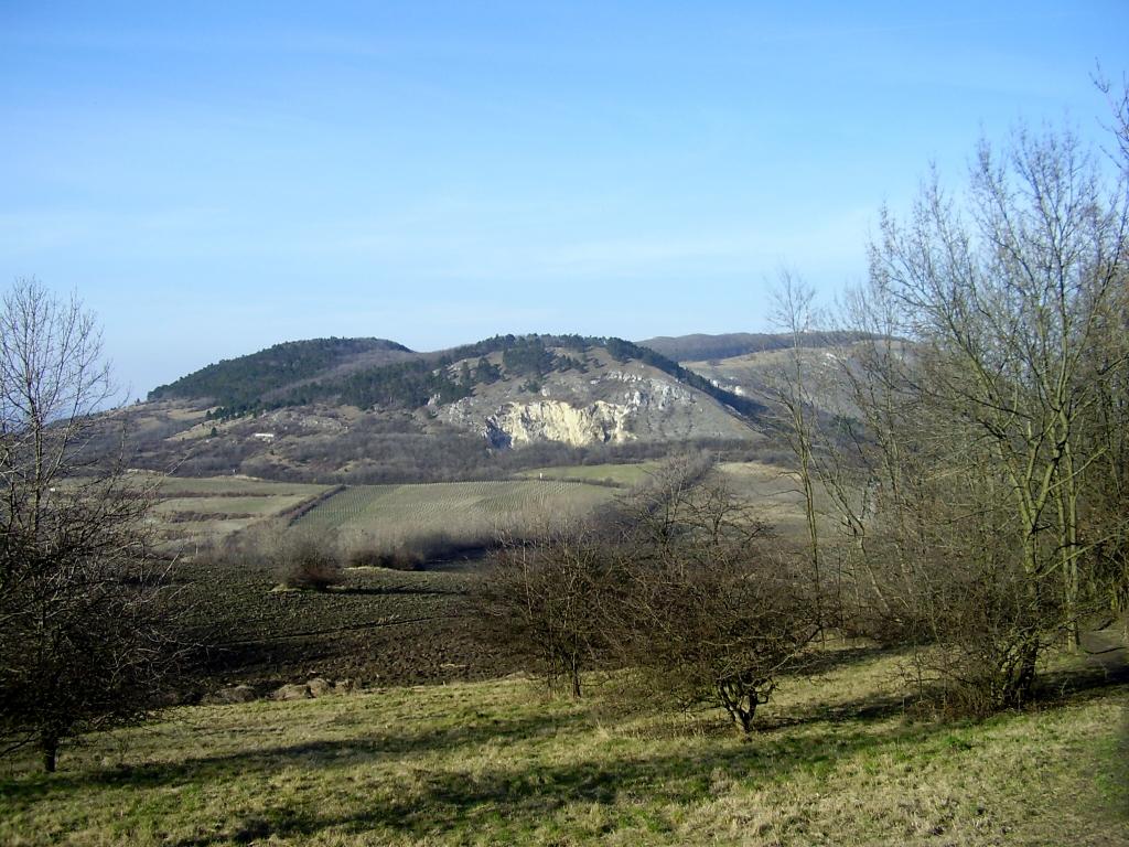 070311 0151.jpg