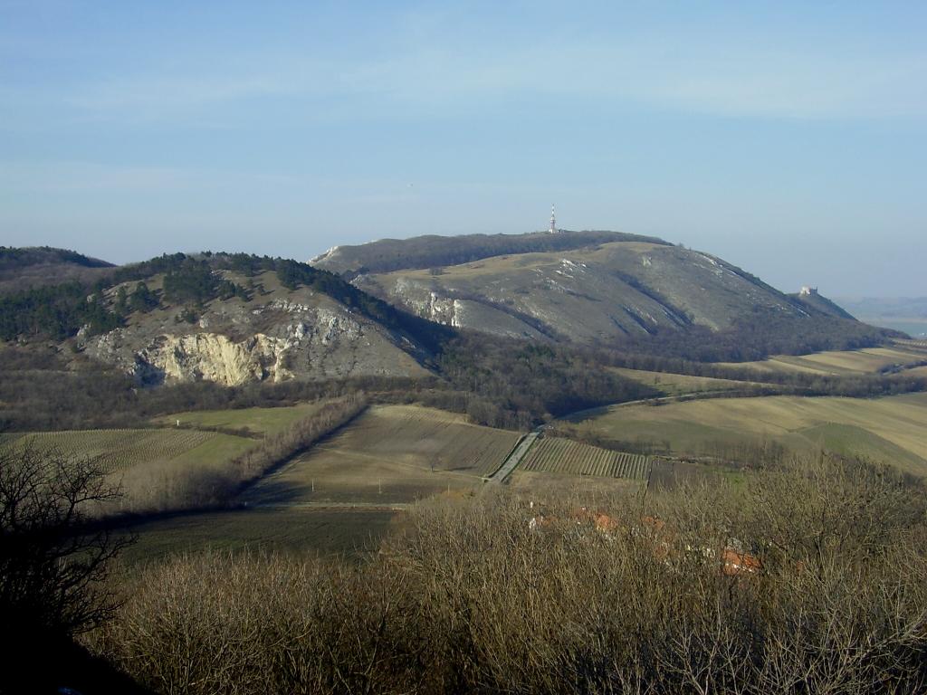 070311 0201.jpg